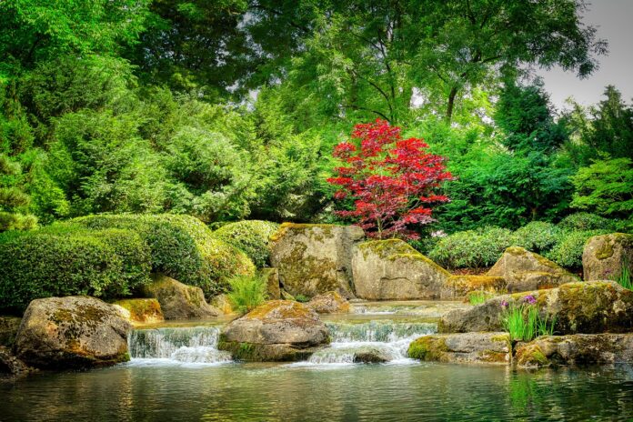 i fiori di bach come nascono - chicchenatural