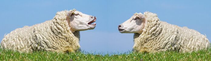 la comunicazione è un'arte-chicchenatural