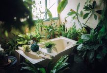 oli essenziali bagni caldi - chicchenatural.it