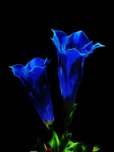 Come rafforzare la fiducia in te stesso/a con i Fiori di Bach - chicchenatural.it
