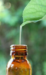 Profumi e creatività: oli essenziali per stimolare l'ispirazione - chicchenatural.it